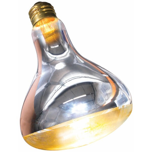 ZML BULB BASKING SPOT 250W